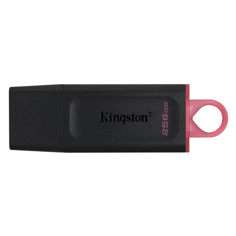 Kingston DataTraveler Exodia 256GB